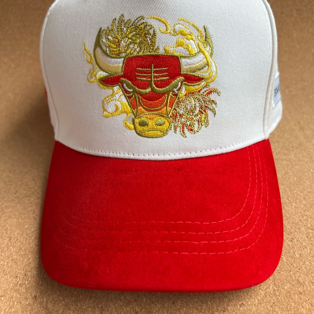 Chicago Bulls Artist Series Hat 2025-26